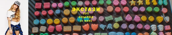 СК Алексин
