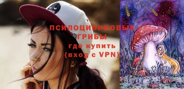 СК Алексин