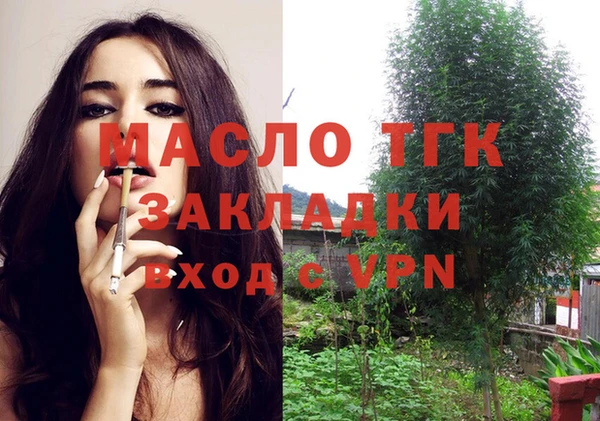 СК Алексин